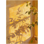 Shadow | Warm Sunlight Through the Window