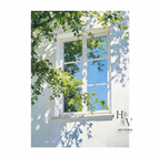 Shadow | Summer Light
