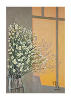 Shadow | Window in Bloom