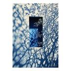 Shadow | Leafy Branch and Stucco Wall