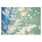 Shadow | Dappled Light