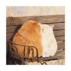 Animal | Two Cats in the Sun