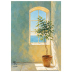 Nature | Sunlit Window by the Sea