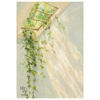 Shadow | Sunlight Through the Greenhouse