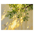 Shadow | Golden Afternoon
