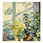 Shadow | Morning Greenery