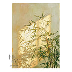 Shadow | Bamboo-like Plant and Golden Sunlight