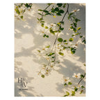 Shadow | Blossoms in Light