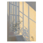 Shadow | Potted Plants and Window