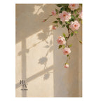 Shadow | Pink Roses