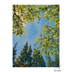 Nature | Whispers Through the Leaves