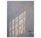 Shadow | Gray Silhouette