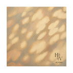 Shadow | Golden Haze