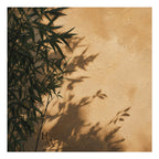 Shadow | Bamboo at Dusk