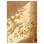 Shadow | Whispers of Afternoon Light