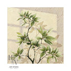 Shadow | Sunlit Magnolia