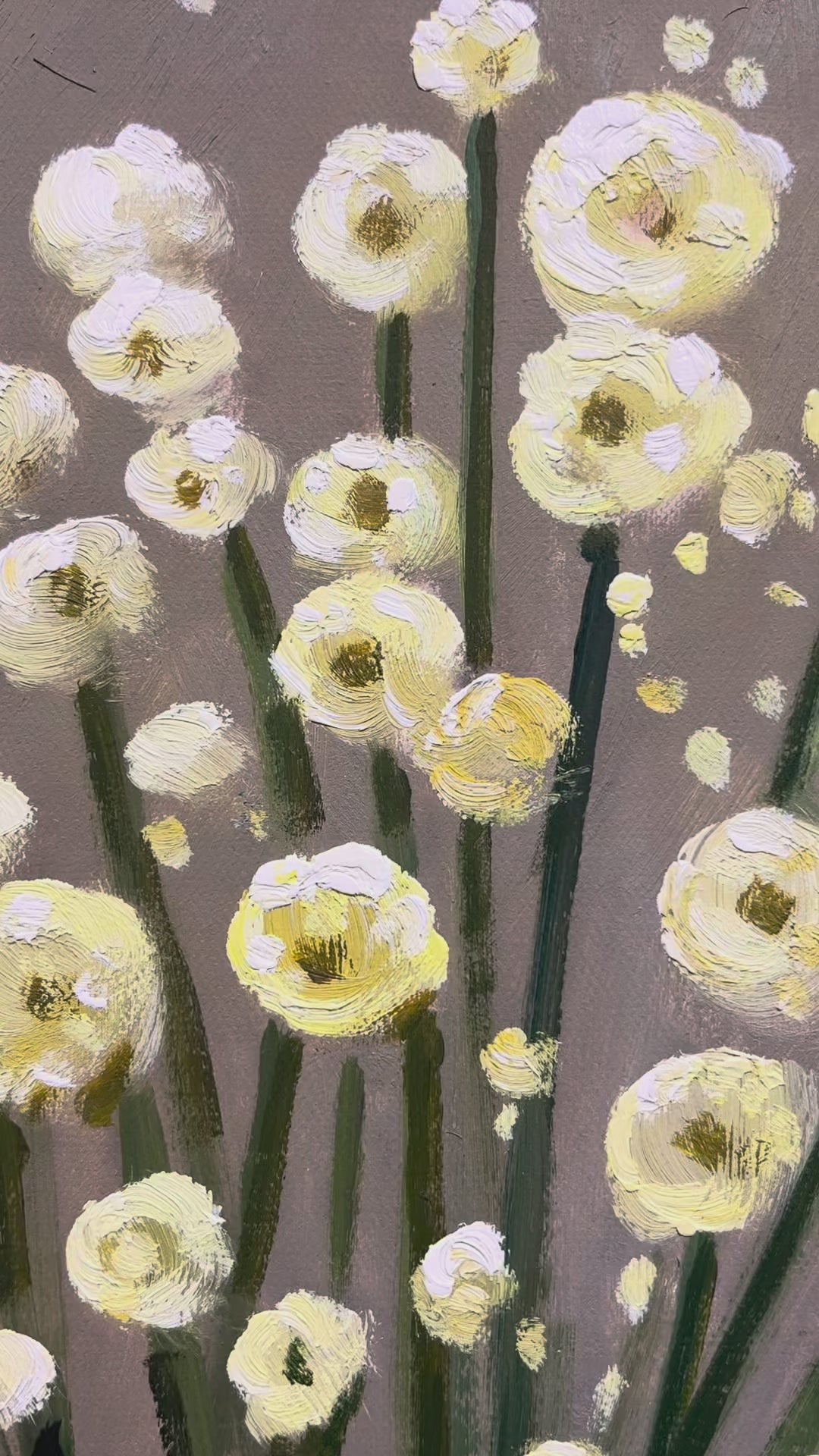Shadow | Window in Bloom