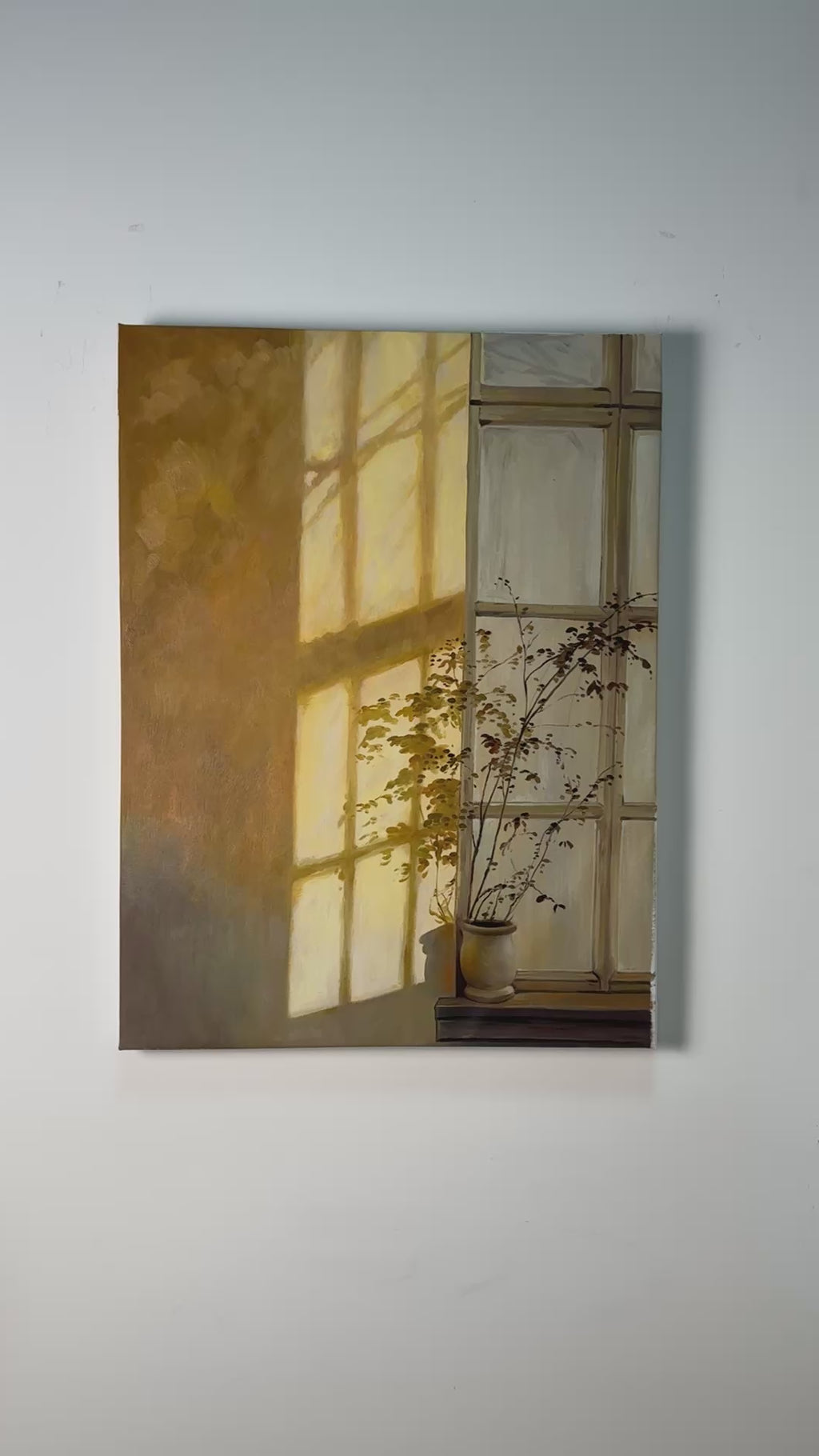 Shadow | Potted Flowers