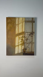 Shadow | Potted Flowers